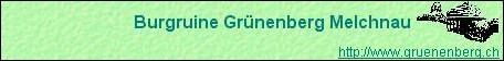 Burgruine Gr�nenberg, Melchnau BE